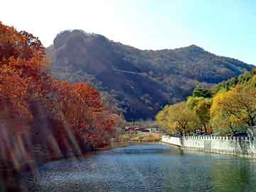 新澳天天开奖资料大全旅游团，天下奇闻图片